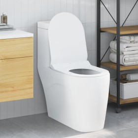Inodoro adecuado para Asiento 50 x 36 x 5 cm Polipropileno