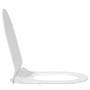 Inodoro adecuado para Asiento 50 x 36 x 5 cm Polipropileno