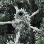 Árbol de Navidad artificial con ramas articuladas verde y
