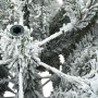 Árbol de Navidad Artificial Moderno Plegable con Nieve y