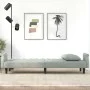 Hellgraues Samtschlafsofa mit Armlehnen von vidaXL, Sofas - Ref: Foro24-351944, Preis: 299,62 €, Rabatt: %