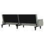 Hellgraues Samtschlafsofa mit Armlehnen von vidaXL, Sofas - Ref: Foro24-351944, Preis: 303,17 €, Rabatt: %