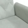 Hellgraues Samtschlafsofa mit Armlehnen von vidaXL, Sofas - Ref: Foro24-351944, Preis: 299,62 €, Rabatt: %