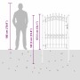 Puerta de cerca con picos con cerradura Gris 170 x 100 cm