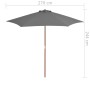 Sombrilla de jardín con palo de madera antracita 270 cm