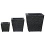 Conjunto de arriates 3 piezas jacinto de agua negro
