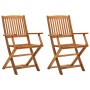 Sillas de jardín plegables 2 unidades madera maciza de acacia
