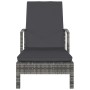 Tumbona con reposabrazos ratán sintético gris