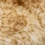 2 units of real sheepskin brown mix chair cushions 40x40 cm by vidaXL, Cushions for chairs and sofas - Ref: Foro24-283887, Pr...