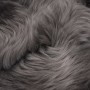 Alfombra de piel de oveja gris claro 60x180 cm de vidaXL, Alfombras - Ref: Foro24-284709, Precio: 84,11 €, Descuento: %