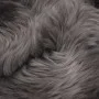 Light gray sheepskin rug 60x180 cm by vidaXL, Rugs - Ref: Foro24-284709, Price: 85,85 €, Discount: %