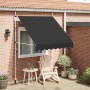Toldo retráctil de operación manual antracita 200 cm