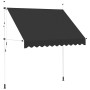 Toldo retráctil de operación manual antracita 250 cm
