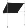 Toldo retráctil de operación manual antracita 250 cm