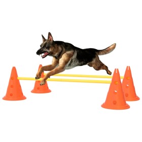 Juego de obstáculos para perros naranja y amarillo