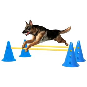 Juego de obstáculos para perros azul y amarillo