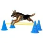 Blaues und gelbes Hindernisspiel für Hunde von vidaXL, Trainingsgeräte für Haustiere - Ref: Foro24-150952, Preis: 40,91 €, Ra...