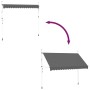 Toldo retráctil de operación manual antracita 350 cm