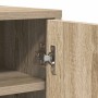 Mueble zapatero madera contrachapada roble Sonoma 60x35x92 cm