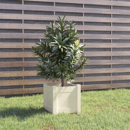 Jardinera de madera maciza de pino blanco 31x31x31 cm
