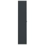 Armario archivador de acero gris antracita 105x40x180 cm de vidaXL, Armarios archivadores - Ref: Foro24-339771, Precio: 333,9...