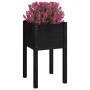 Jardineras 2 unidades madera maciza de pino negro 40x40x70 cm en Maceteros y jardineras | Comprar online en Foro24
