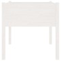 Jardineras 2 uds madera maciza de pino blanco 70x70x70 cm