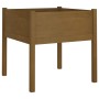 Jardineras 2 uds madera maciza de pino marrón miel 70x70x70 cm en Maceteros y jardineras | Comprar online en Foro24