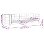 Hellgraues Samtschlafsofa 80x200 cm von vidaXL, Betten und Lattenroste - Ref: Foro24-354001, Preis: 186,16 €, Rabatt: %