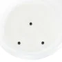 Poultry waterer with nipples 18 L by vidaXL, Livestock feeders and waterers - Ref: Foro24-171450, Price: 37,33 €, Discount: %