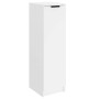 Mueble zapatero de madera contrachapada blanco 30x35x100 cm