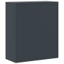 Anthrazitgrauer Aktenschrank aus Stahl, 90 x 40 x 105 cm von vidaXL, Aktenschränke - Ref: Foro24-339739, Preis: 206,45 €, Rab...