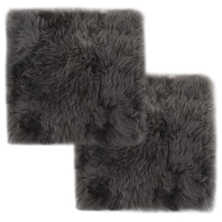 Stuhlkissen 2 Stück echtes Schaffell hellgrau 40x40 cm von vidaXL, Kissen für Stühle und Sofas - Ref: Foro24-284716, Preis: 4...