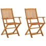 Folding garden chairs 2 pcs solid eucalyptus wood by vidaXL, Garden chairs - Ref: Foro24-312449, Price: 103,68 €, Discount: %