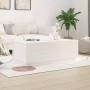 Mesa de centro de madera maciza de pino blanco 100x50x35 cm