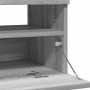 Mueble de TV con luces LED gris Sonoma 80x35x40 cm
