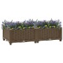 Blumenbeet 80x40x23 cm Polypropylen von vidaXL, Töpfe und Pflanzgefäße - Ref: Foro24-316512, Preis: 42,10 €, Rabatt: %
