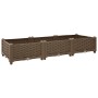 Blumenbeet 120x40x23 cm Polypropylen von vidaXL, Töpfe und Pflanzgefäße - Ref: Foro24-316513, Preis: 50,41 €, Rabatt: %
