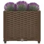 Planter box 40x40x38 cm polypropylene by vidaXL, Pots and planters - Ref: Foro24-316515, Price: 32,17 €, Discount: %