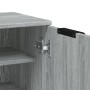 Mueble zapatero madera contrachapada gris Sonoma 59x35x100 cm