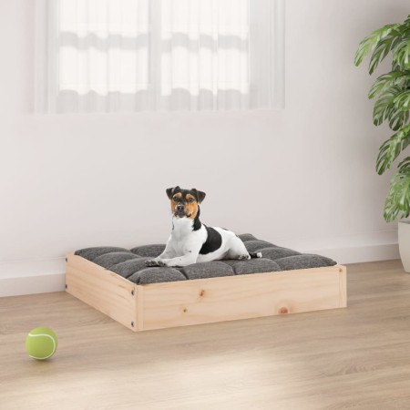 Cama para perros madera maciza de pino 51,5x44x9 cm