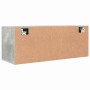 Mueble zapatero pared contrachapada gris hormigón 100x35x38 cm