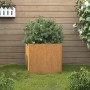 Jardinera de acero corten 32x30x29 cm en Maceteros y jardineras | Comprar online en Foro24