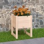 Jardinera de madera maciza de pino 40x40x52,5 cm en Maceteros y jardineras | Comprar online en Foro24