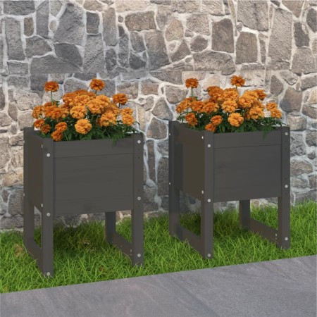 Jardinera 2 unidades madera maciza de pino gris 40x40x52,5 cm en Maceteros y jardineras | Comprar online en Foro24