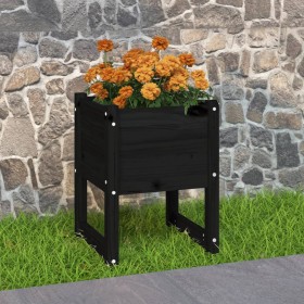 Jardinera madera maciza de pino negro 40x40x52,5 cm Jardinera madera maciza de pino negro 40x40x52,5 cm
