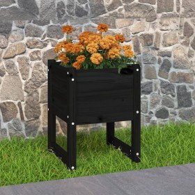 Jardinera madera maciza de pino negro 40x40x52,5 cm