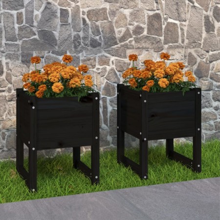Jardinera 2 unidades madera maciza de pino negro 40x40x52,5 cm en Maceteros y jardineras | Comprar online en Foro24