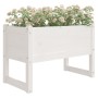 Jardinera madera maciza de pino blanco 78x40x52 cm en Maceteros y jardineras | Comprar online en Foro24