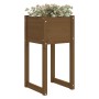 Jardinera madera maciza de pino marrón miel 40x40x81 cm en Maceteros y jardineras | Comprar online en Foro24
